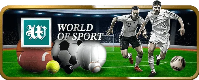 Trực tiếp đá gà chất lượng cao tại 555win 23