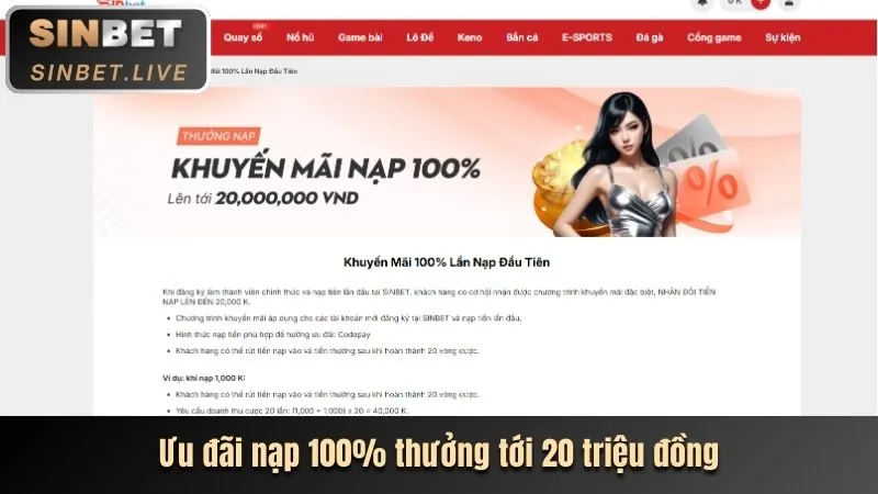 Mẹo cá cược thể thao 555win 23